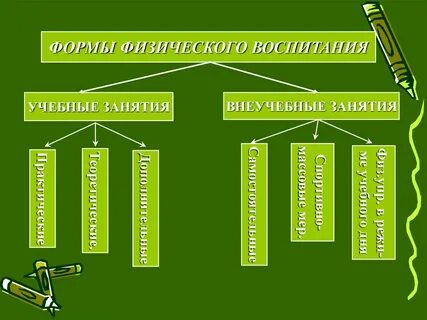 Основная форма организованного обучения физическим упражнениям