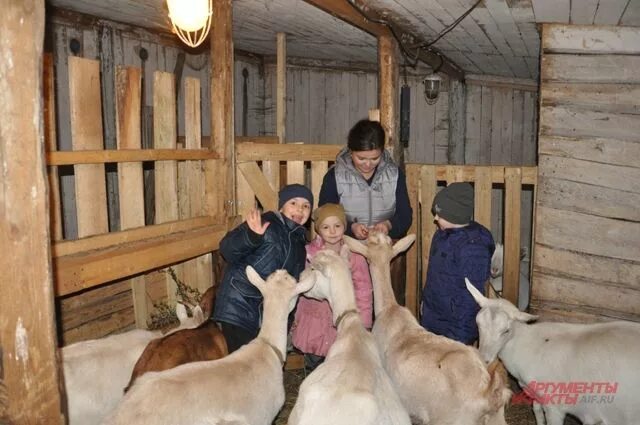 Решили переехать в деревню. Личное подсобное хозяйство в деревне. Городские жители уезжают в деревню. ЛПХ В деревне. Переехал в деревню.