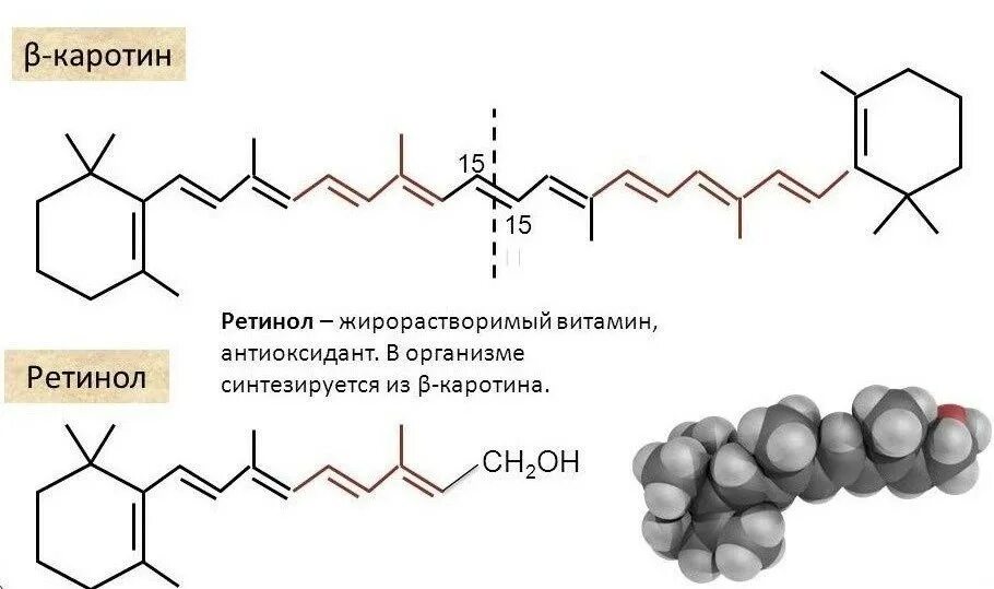 Пигмент каротиноиды. Строение бета каротина. Бета каротин структурная формула. Схема синтеза витамина а ретинола. Образование витамина а из бета каротина.