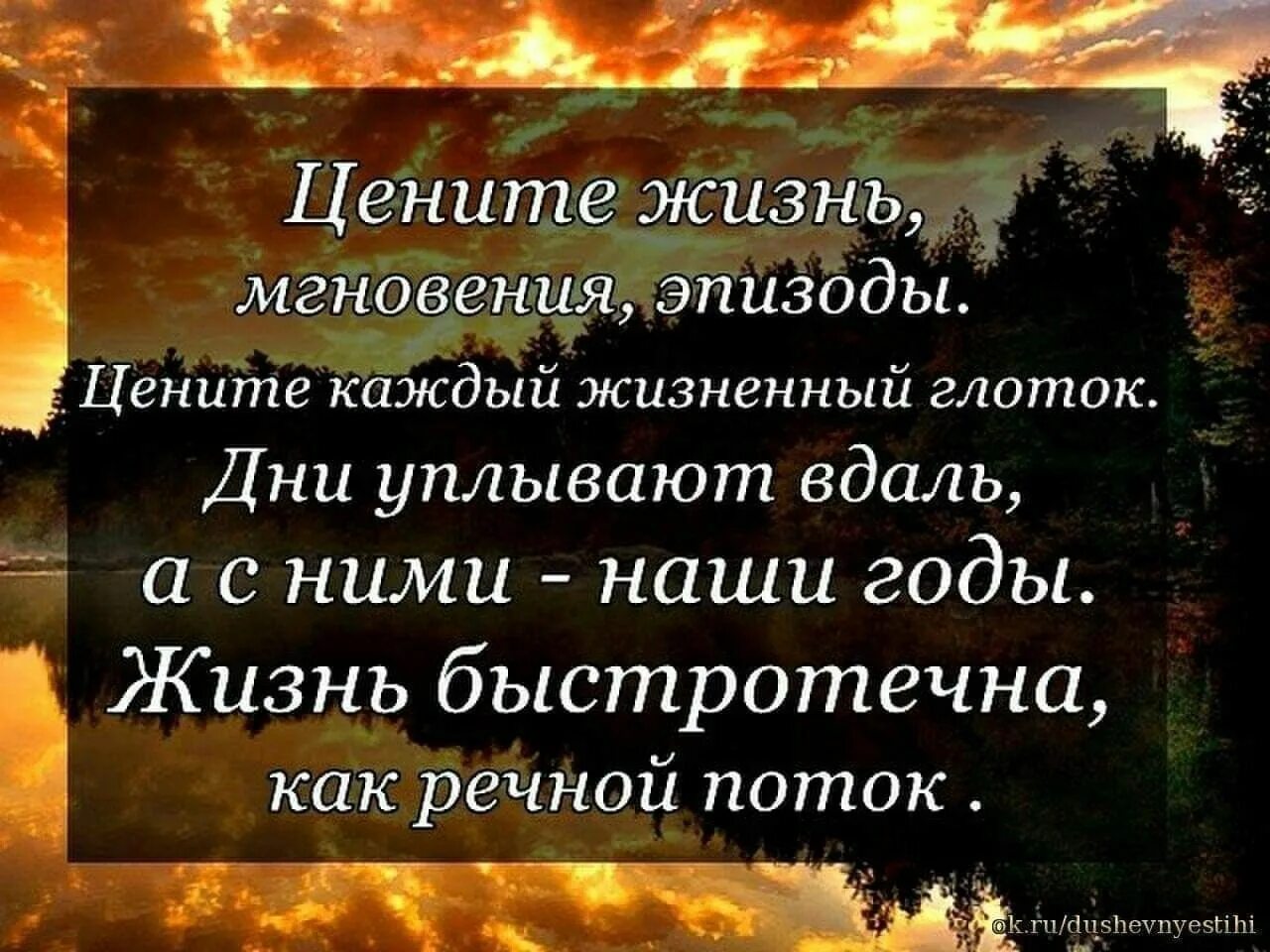 Цените жизнь цитаты. Жизнь продолжается афоризмы. Цените каждое мгновение жизни. Цитаты про мгновения жизни.