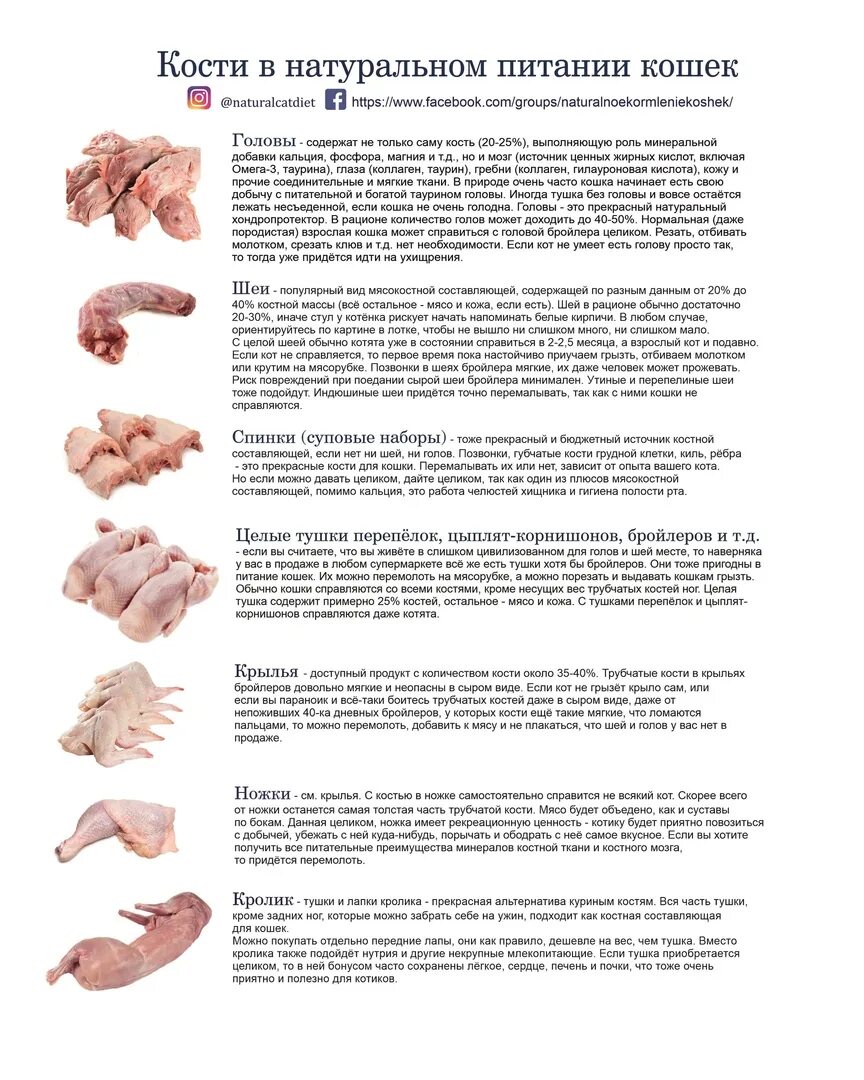 Натуральное кормление кошек. Натуральный рацион для кошек. Какие кости можно давать кошкам. Какие кости давать собаке. Можно давать куриные кости собакам