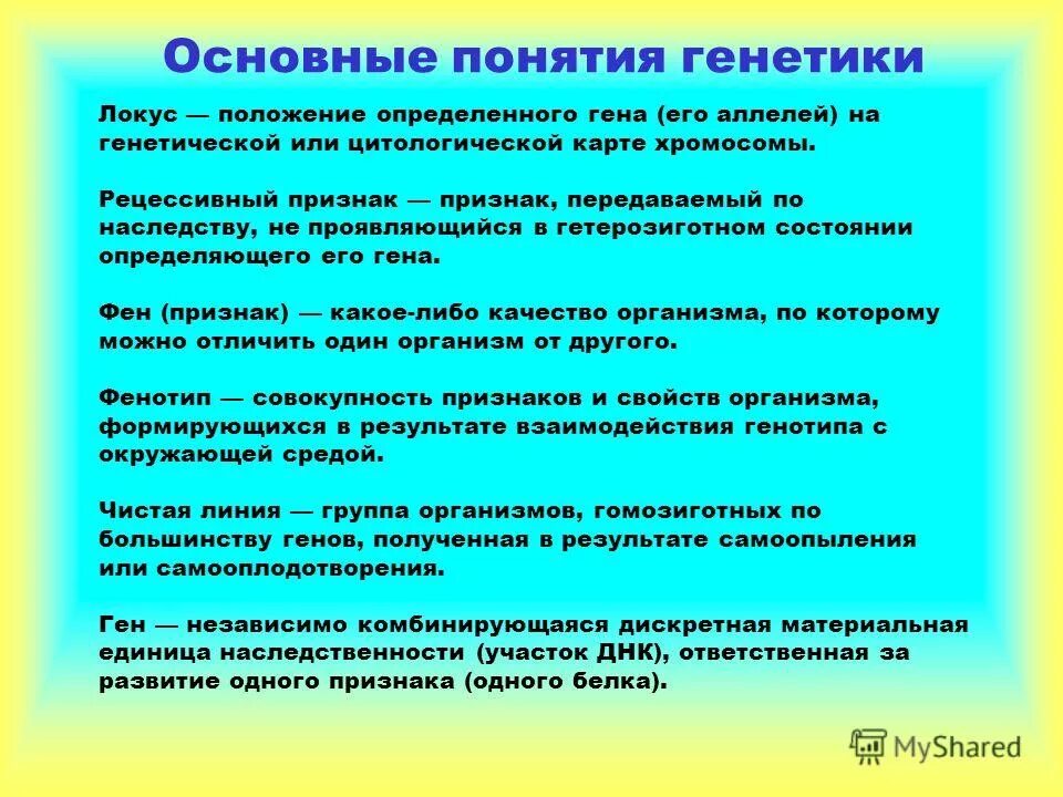 Локус определение. Локус это кратко. Локус (генетика). Локус это в генетике. Ген аллель днк локус.