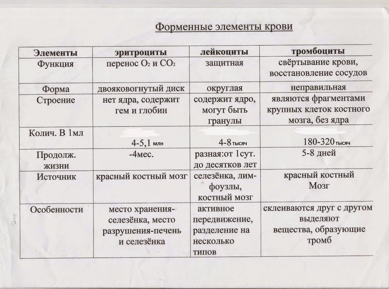 Кровеносная система человека таблица строение и функции. Строение кровеносных сосудов таблица. Сравнительная таблица кровеносные сосуды. Строение и функции кровеносных сосудов таблица.