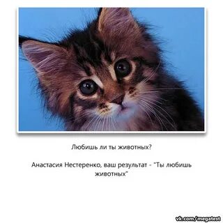 Юле животных