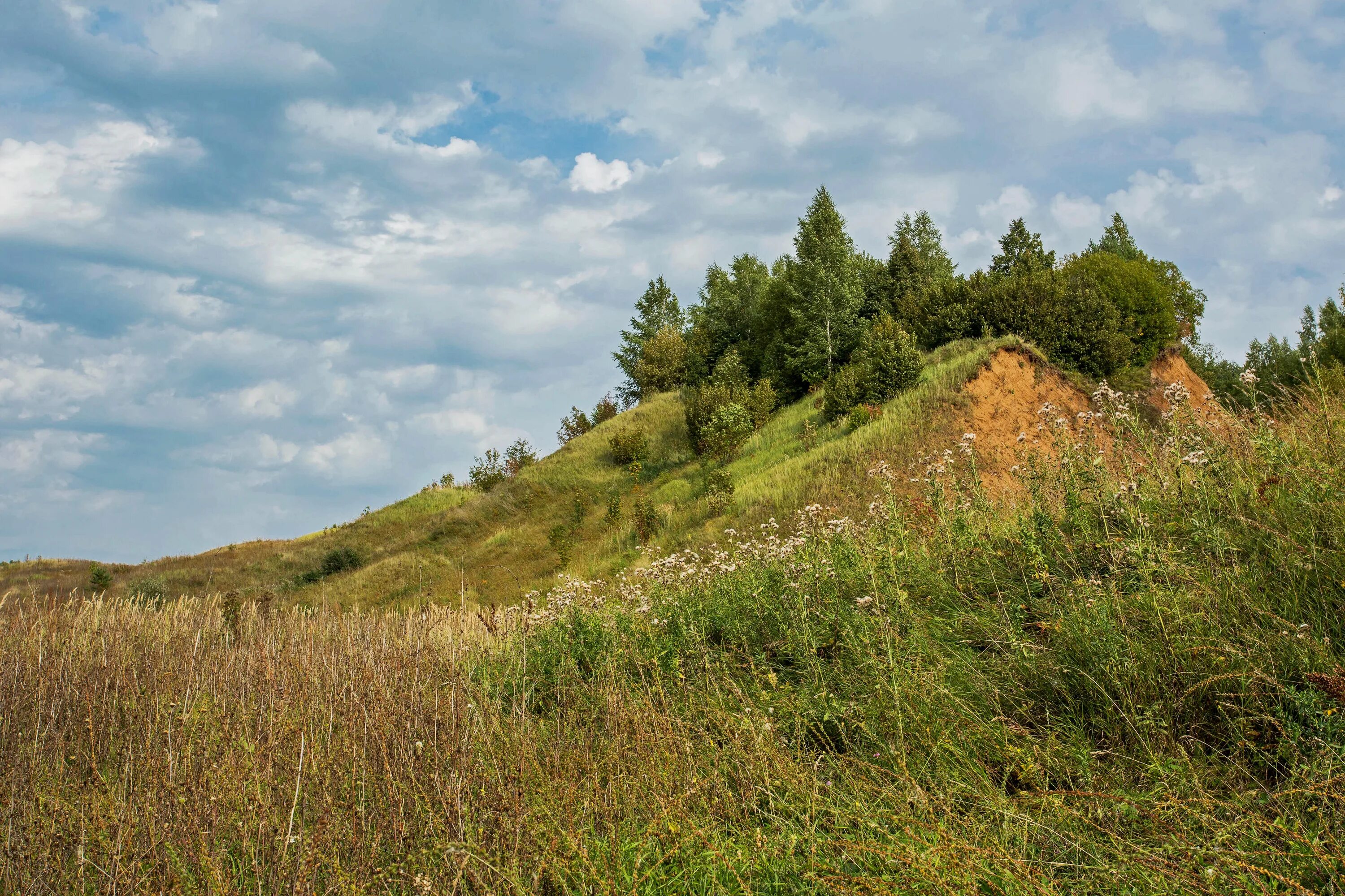 Деревня кули