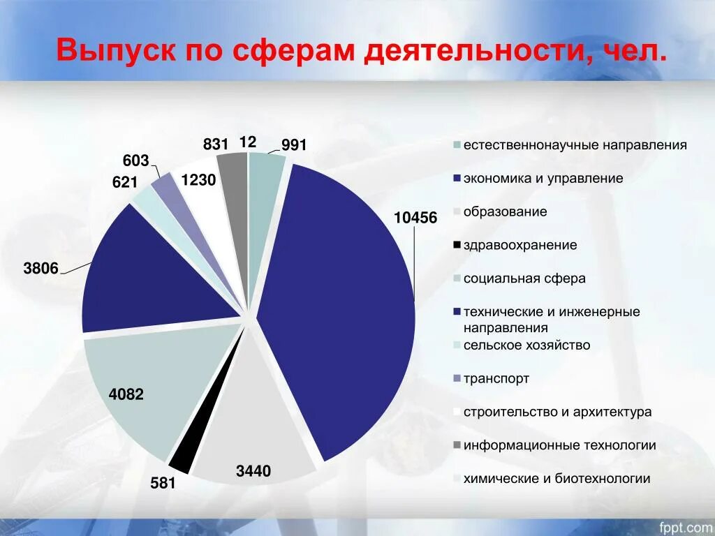 Врач какая сфера деятельности. Сферы деятельности предприятия. Сферы деятельности работы. Выпуск по сферам деятельности. Направления сфер деятельности.