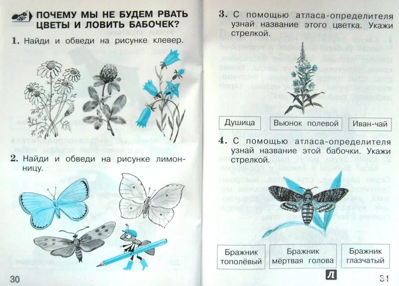 Рисунок окружающий мир 1 класс ветер