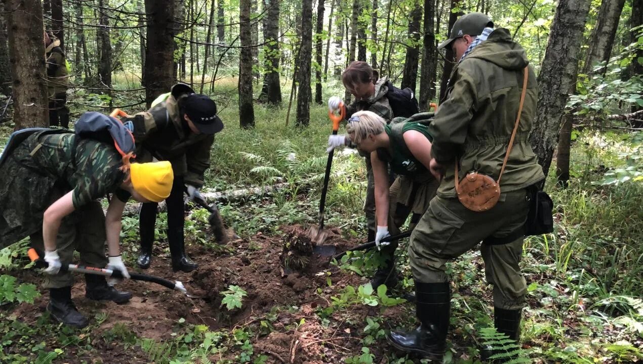 Поисково-спасательные работы на болоте. Организация и проведение поисково-спасательных работ. Организация выполнения поисково-спасательных работ. Проведение поисковых работ. Спасатель поисково-спасательного отряда.