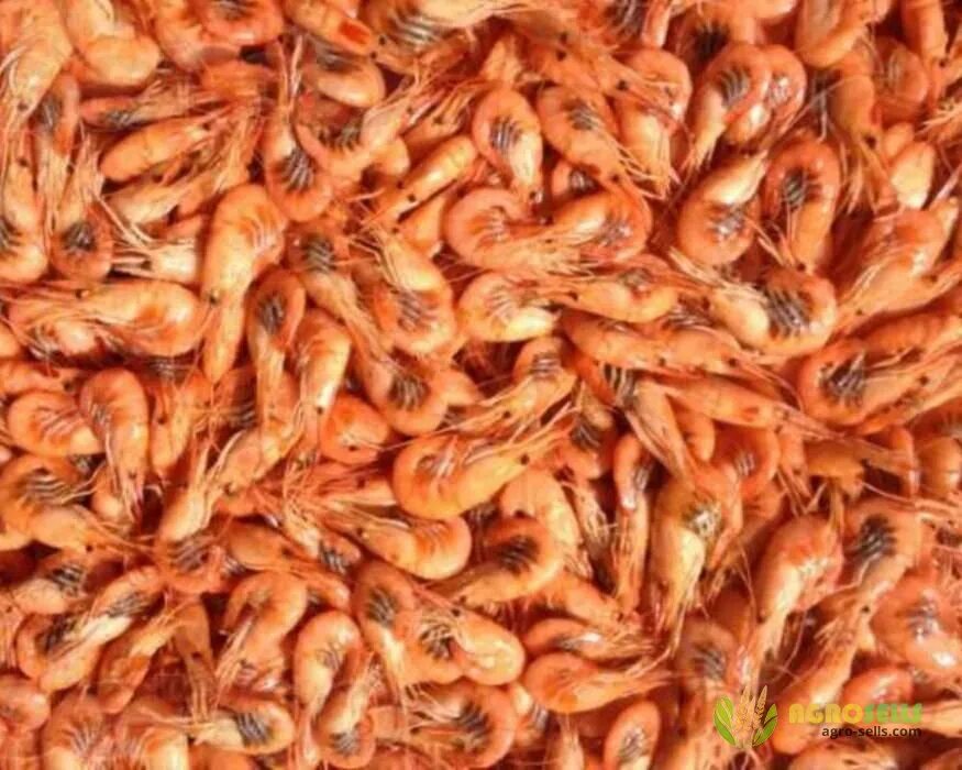 Креветки в севастополе на рынке. Averton snack семечки в глазури креветка. Креветки семечки. Креветки семечки. Averton snack семечки в глазури.