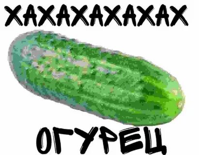 День жопки огурца
