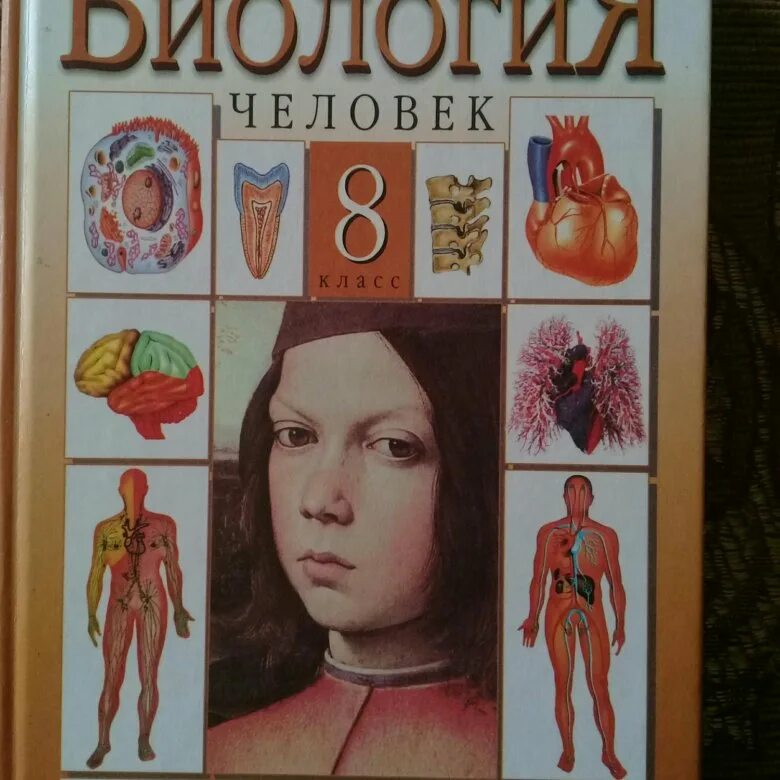 Биология 9 класс колесов маш. Колесов маш Беляев. Биология. 8 Класс. Учебник. Учебник биологии человек 8. Колесов биология.