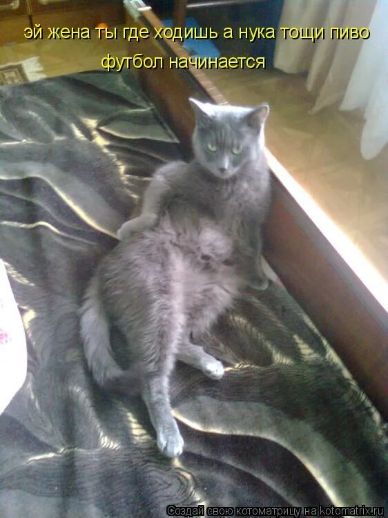 шахматы чёрные толпой ходят. цитаты про нужду. где ходишь. в жизни есть всего два важных решения куда идти и кого взять с собой. смешные смс.