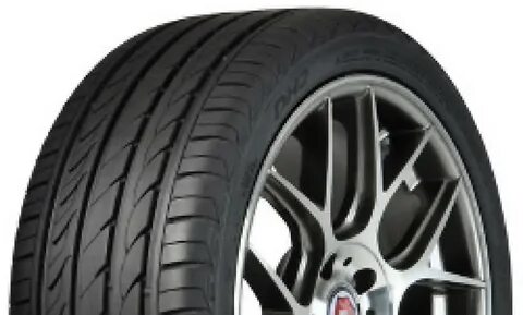 Delinte r17