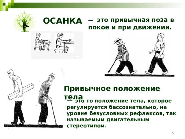 Динамический стереотип движения. Динамический стереотип движения