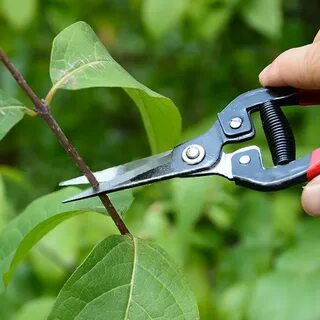 Tooling plant