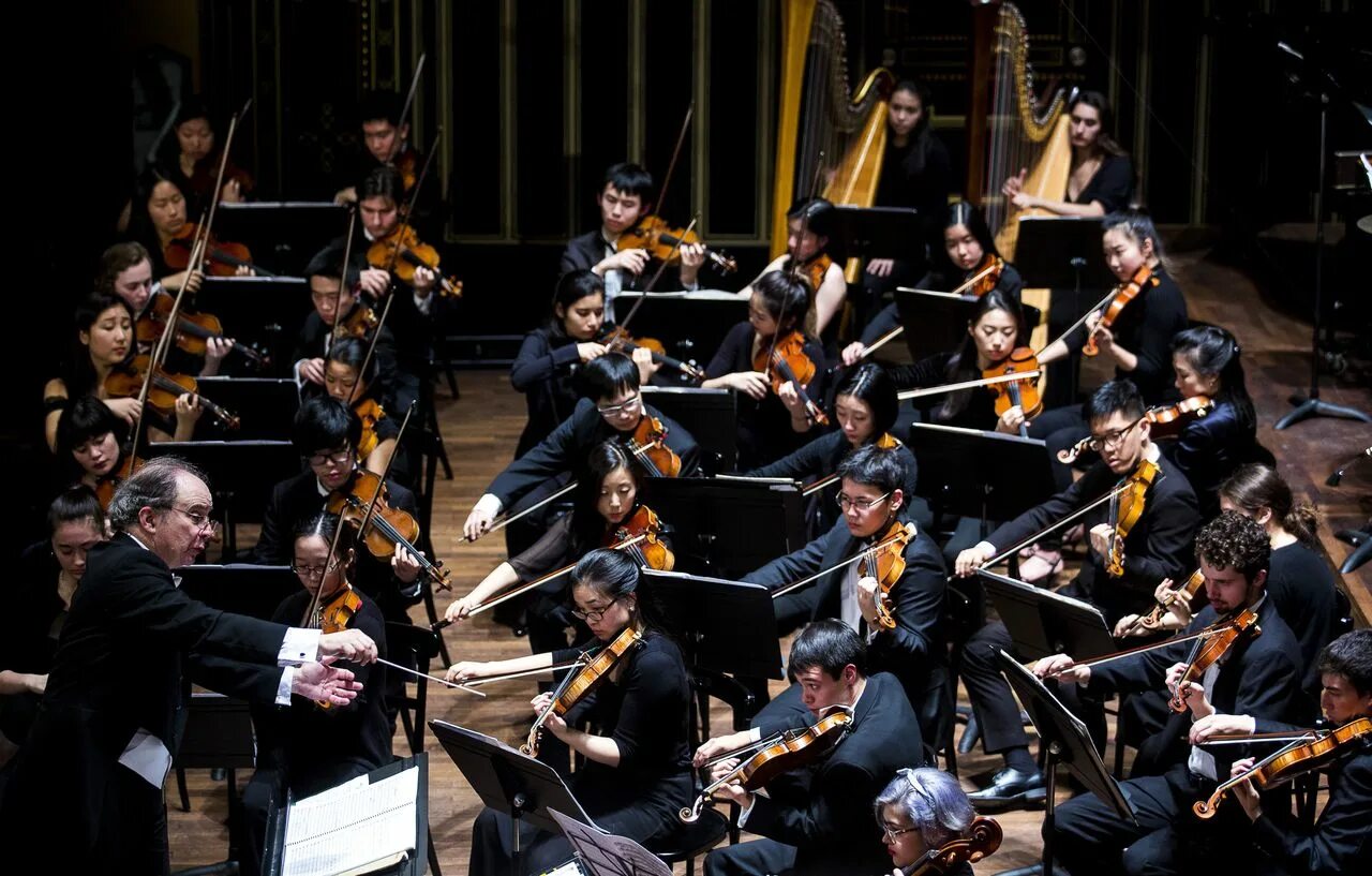 Orchestra. Гендельский оркестр. «Концерте для оркестра» Томас Корганов. Мидиатр оркестр. Оркестр Джордже Баковия.