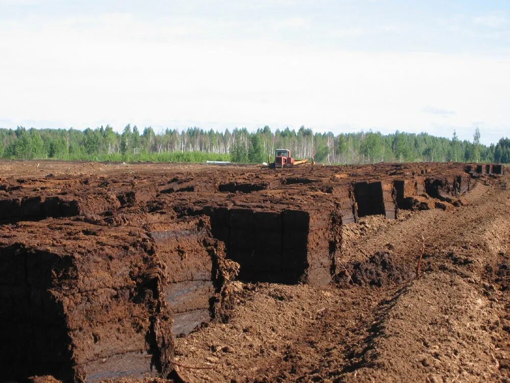 Болота запасы торфа. Торф Томск. Месторождения торфа в Курганской области. Добыча низинного торфа. Торф Солнечногорск.