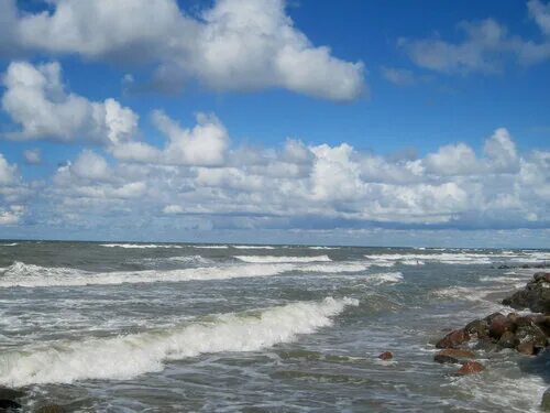 Волна зеленоградск. Зеленоград Балтийское море. Берег Балтийского моря Зеленоградск. Зеленоград море. Пейзажи Зеленоградска море покажите.