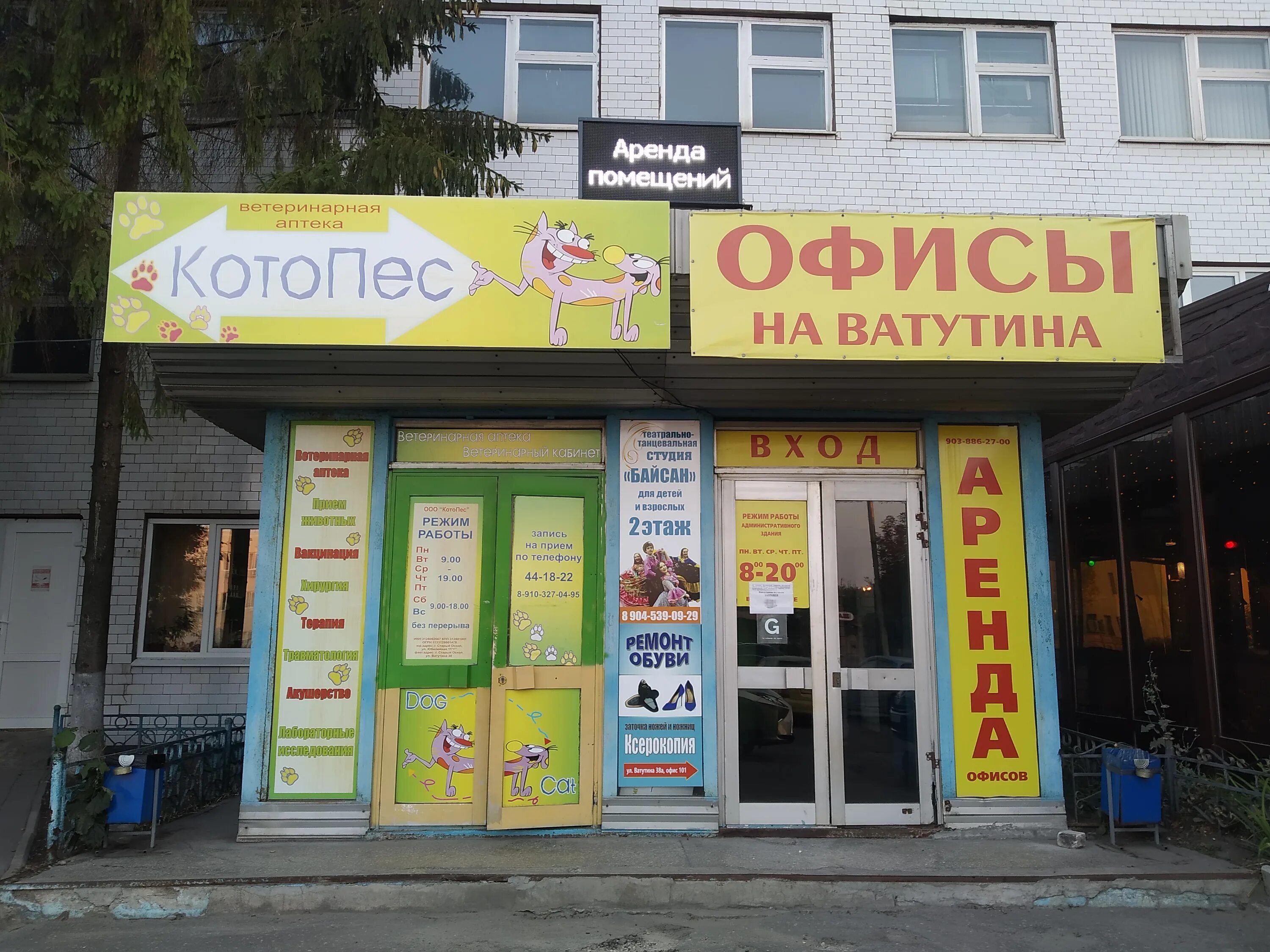 старый оскол ватутина. улица ватутина 38 старый оскол. г. улица ватутина старый оскол. улица ватутина старый оскол.