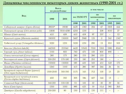 Численность животных их вес и скорость