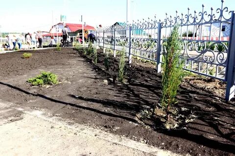 Погода татищево саратовская область на 10 дней