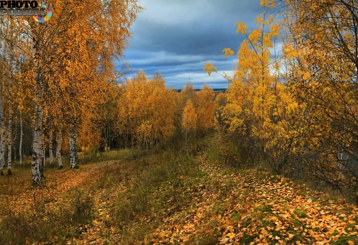 Что будет в стране в октябре. Октябрь природа. Осенний пейзаж. Осень октябрь. Осень в России.