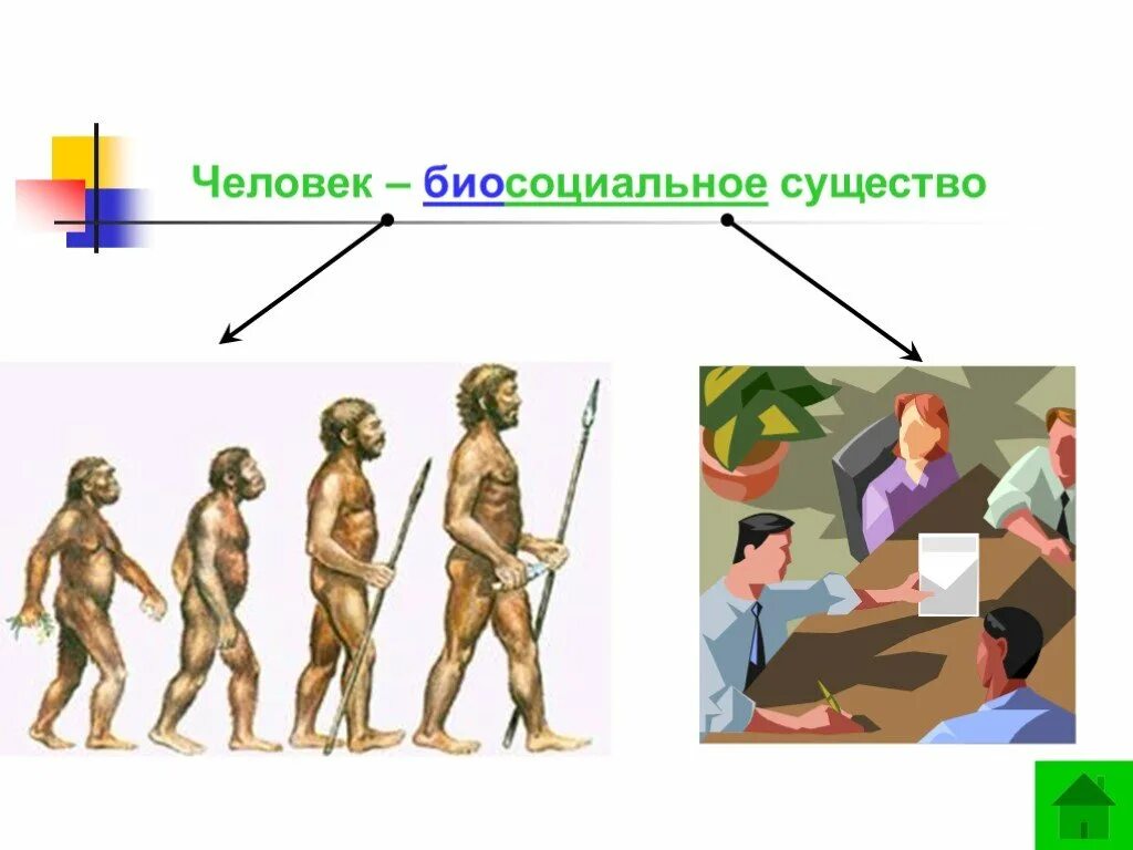 Конспект урока становление человека. Человек биосоциальное существо. Тема человек биосоциальное существо. Становление человека. Рисунок на тему человек биосоциальное существо.