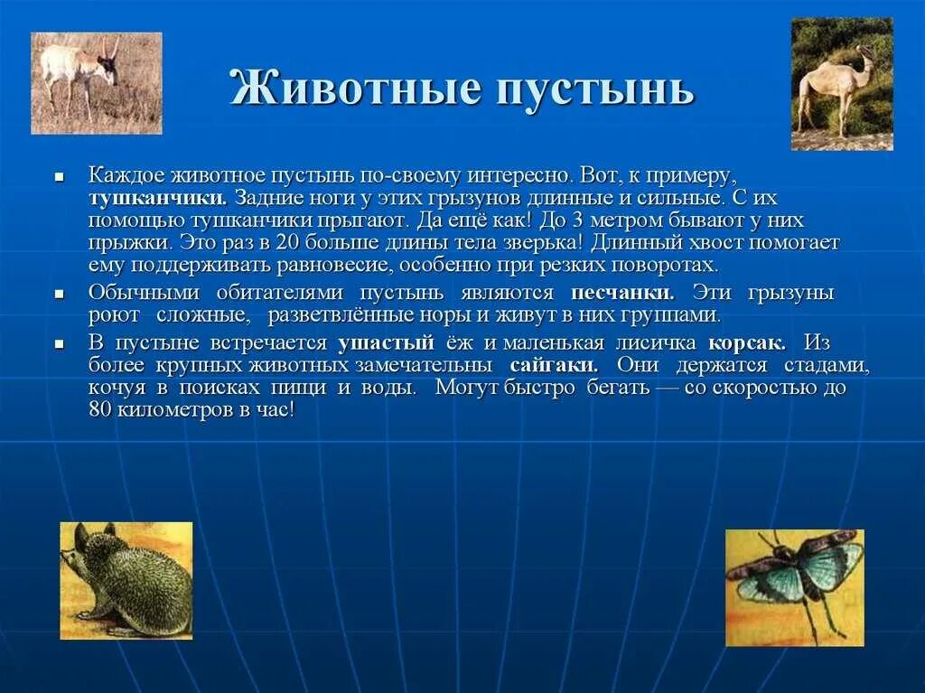 Сообщение животные пустыни окружающий мир 4 класс. Сообщение о животных пустыни. доклад о животных в пустыне. сообщуниео животных пустыни. животные зоны пустынь.