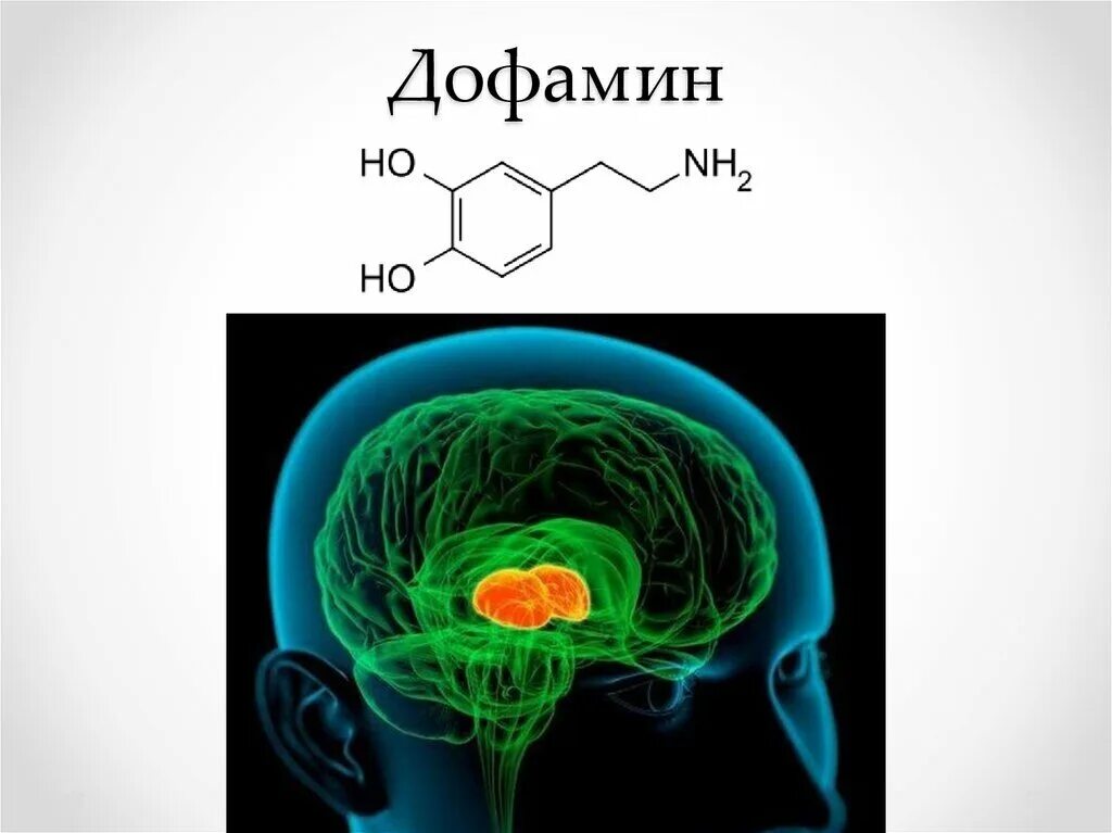 Дофамин. Дофамин формула. Дофамин мозг. Химическая формула дофамина.