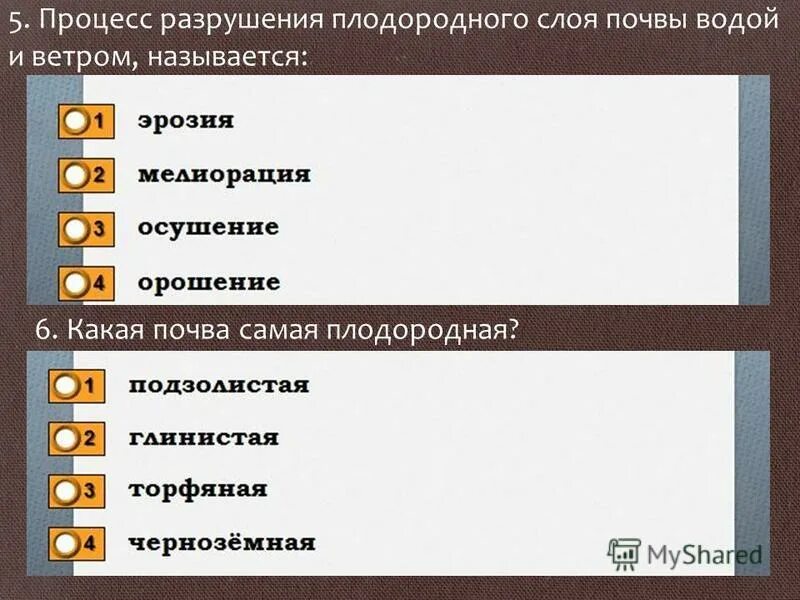 Разрушение почвы. Эоловая эрозия. Как называется процесс разрушения почвы. Процесс разрушения почвы ветром называется. Виды эрозии почв.