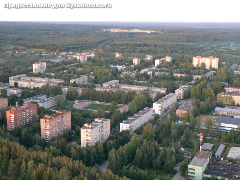 Кузьмолово ленинградская область купить. Кузьмолово Ленинградская область. Поселок Кузьмолово. Посёлок Кузьмолово Ленинградской области. Население Кузьмолово.