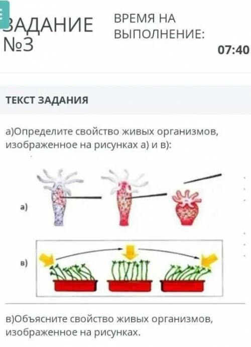 Свойства живых организмов впр. Как называется свойство живых организмов, изображенное на рисунке?. Определите свойство живых организмов изображенное на рисунках а и в. Задания для проверке свойства живого организма.