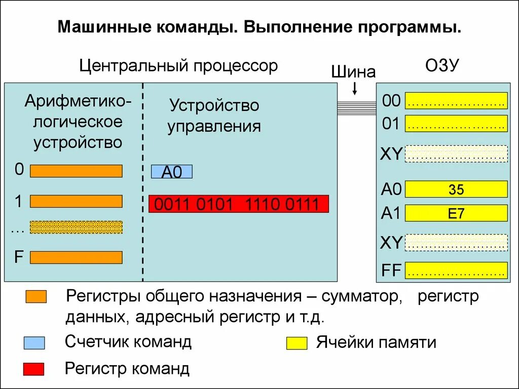 Регистры процессора. Регистр команд процессора. Регистры общего назначения. Регистр-счетчик общего назначения. Управление оперативной памятью программы