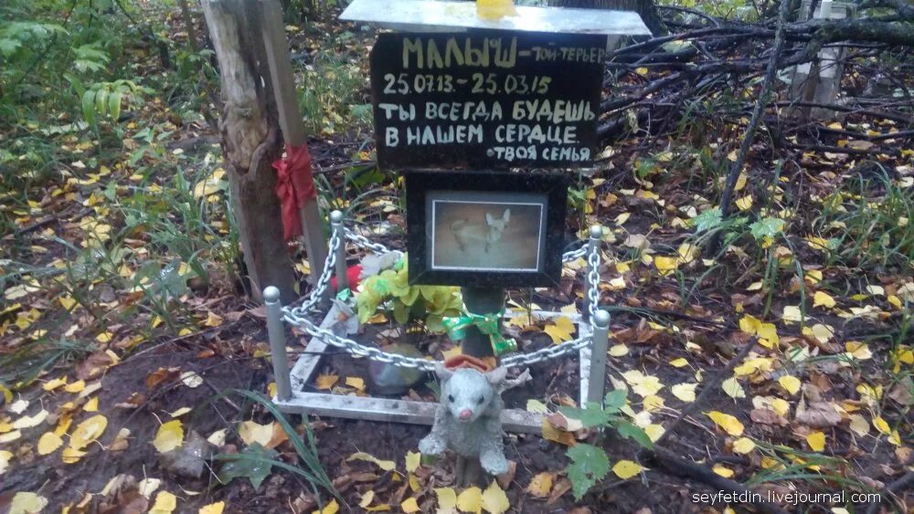 виртуальное кладбище животных. кладбище животных. виртуальное кладбище животных. кладбище домашних животных в москве. виртуальное кладбище животных.