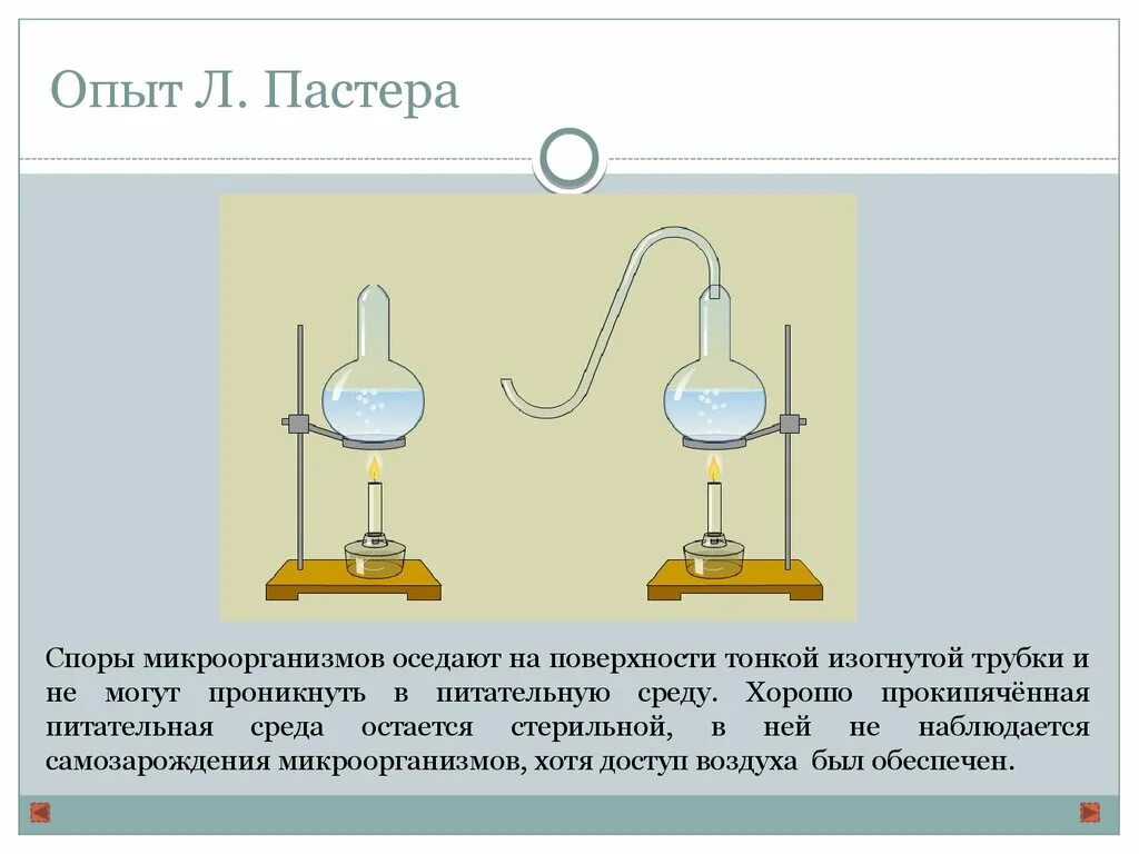 Эксперимент Луи Пастера. Опыт л Пастера. Опыт Луи Пастера рисунок. Опыт Луи Пастера с колбами.