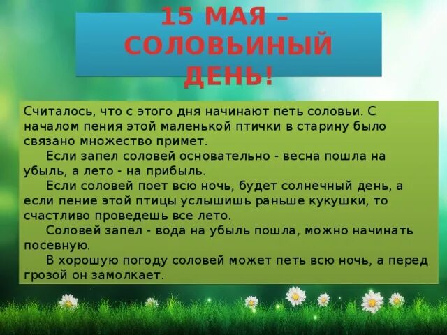 Соловьиный день 15 мая. Запели соловьи приметы. Соловьи 15 мая. Соловей запел так дивно что. Все смолкло зато в зарослях запел соловей