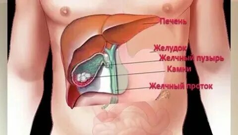Где располагается круглое