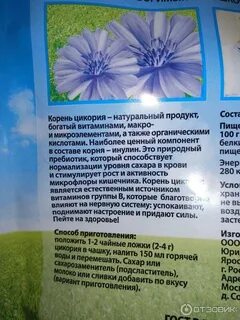 Чем полезен цикорий для организма человека