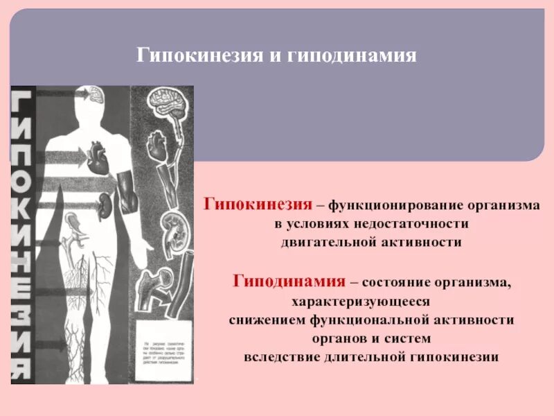 Гиподинамия влияние на организм человека. Гипокинезия. Гиподинамия и гиперптнезия. Понятие о гипокинезии и гиподинамии. Гипокинезия и гиподинамия отличия.