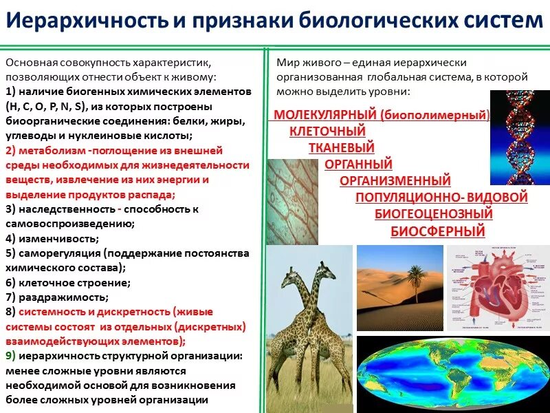 Перечислить биологические системы. Признаки биологических систем. Общие признаки биологических систем. Признаки биологических объектов. Признаки биосистемы.