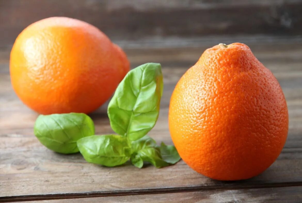 минеола это. мандарины минеола. мандарины минеола. минеола это. минеола это.