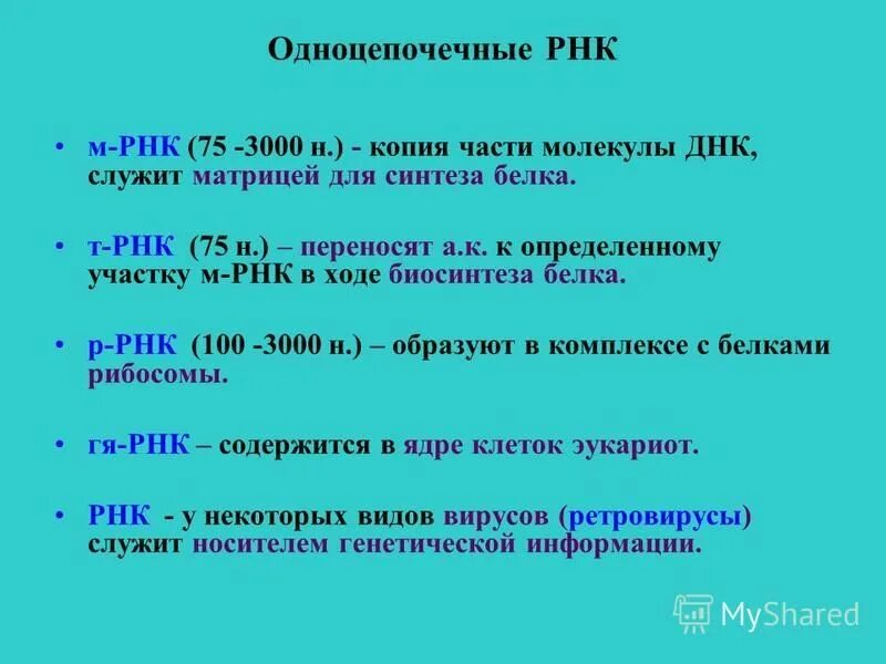Что служит матрицей для синтеза ирнк. Процесс транскрипции рнк. Первый этап реализации наследственной информации. Синтез рнк на матрице днк. Синтез днк, на матрице рн.