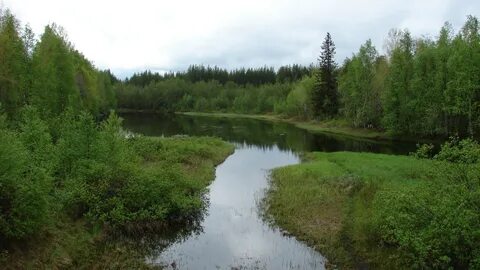 Река решение