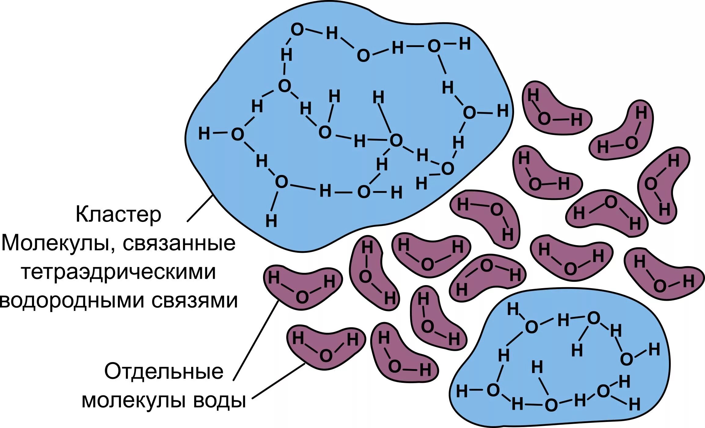 Водородные мостики. Кластеры воды. Кластерная модель воды. Кластерная структура воды. Кластеры молекул воды.