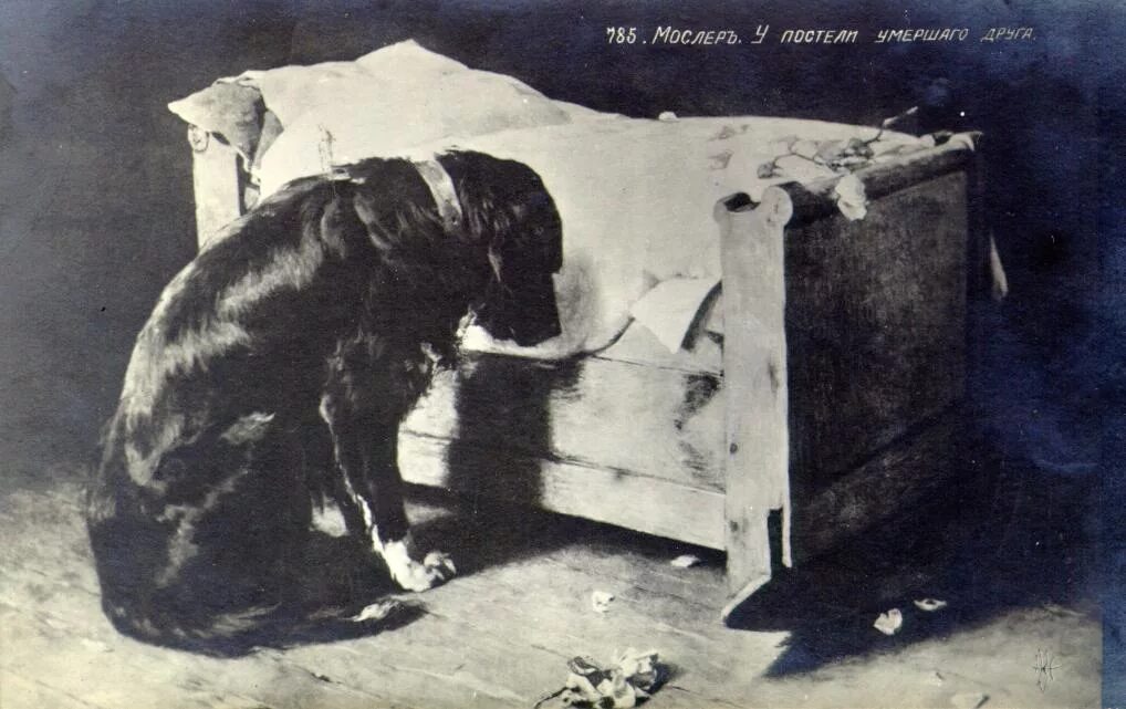 Собака у постели больного. Картина мёртвой собаки. Смерть любимой собаки.