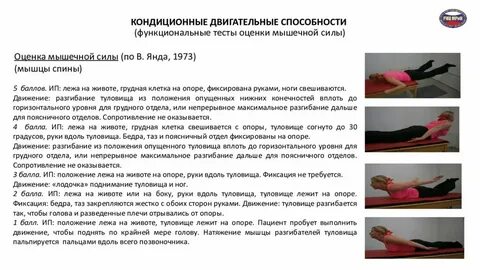 Тест мышечной силы