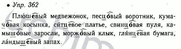 Русский язык 8 класс номер 362. Русский язык 6 класс номер 362. Русский язык 8 класс ладыженская номер 362. Русский язык 6 класс ладыженская 362.