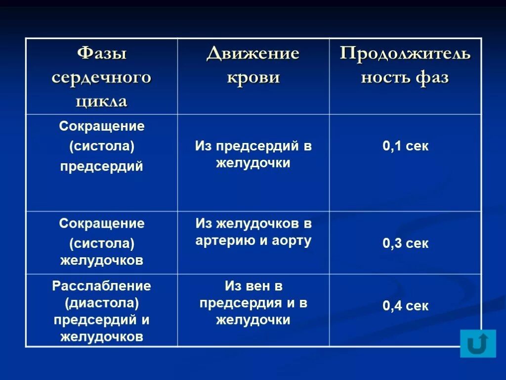 Кровь движется из предсердий в желудочки