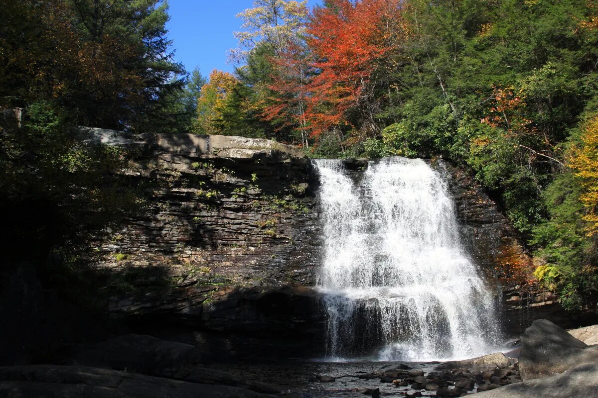 Парк штата Тоганнок Фолс. Мэриленд природа. Swallow Falls. Swallow Falls остров. Falling state