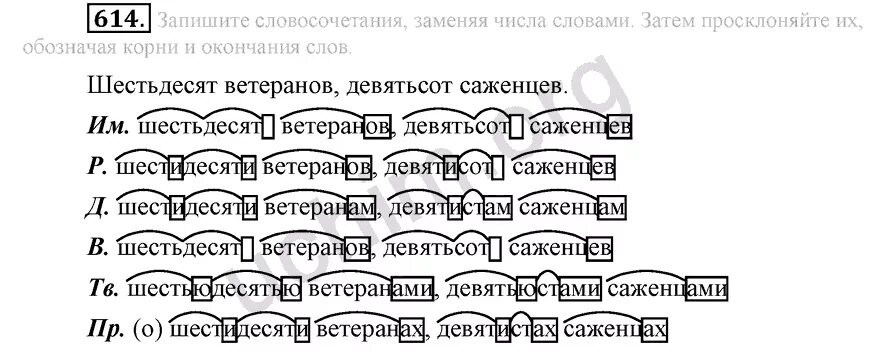 Русский язык 6 класс разумовская упр 614. 60 Ветеранов 900 саженцев. 900 Саженцев просклонять. Девятьсот саженцев просклонять. Шестьдесят ветеранов просклонять.